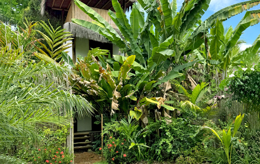 Guia de Maraú - Odara Hospedaria