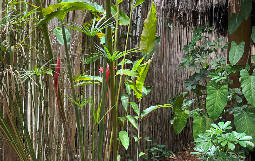 Guia de Maraú - Odara Hospedaria