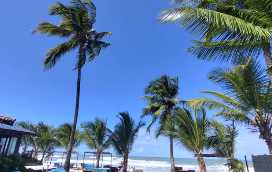 Guia de Maraú - Casa Amarela Beach Bar