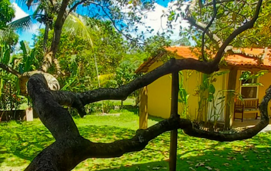 Guia de Maraú - Cais Dourado Pousada