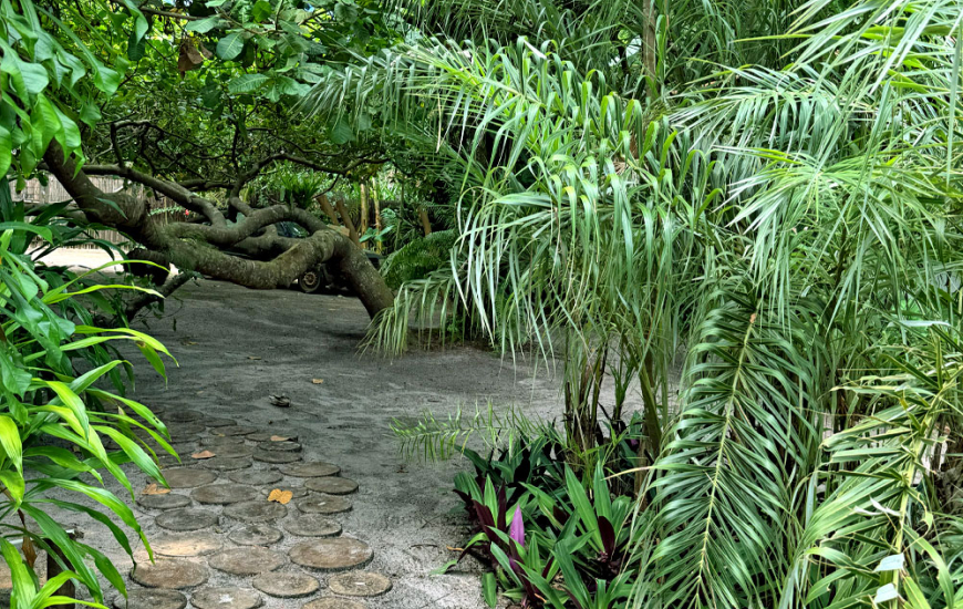 Guia de Maraú - Odara Hospedaria