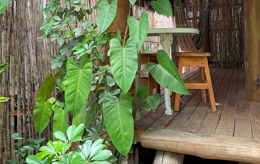 Guia de Maraú - Odara Hospedaria