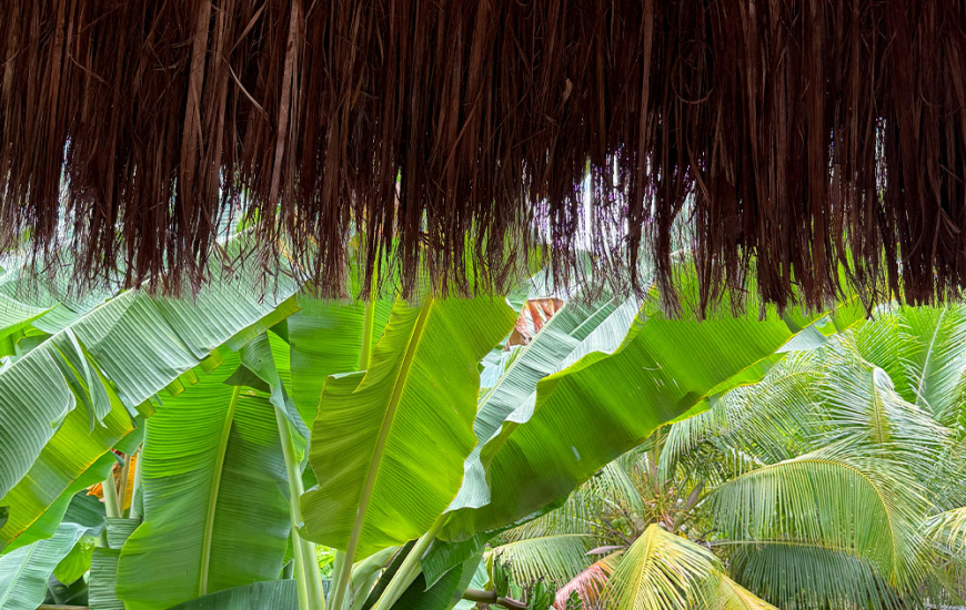 Guia de Maraú - Odara Hospedaria