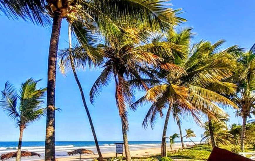 Guia de Maraú - Pousada Bahia Boa