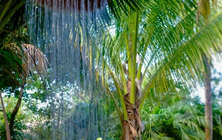 Guia de Maraú - Pousada Na Villa dos Algodões