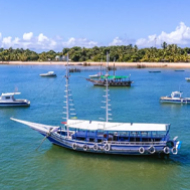 Guia de Maraú - Ponta da Baleia Turismo