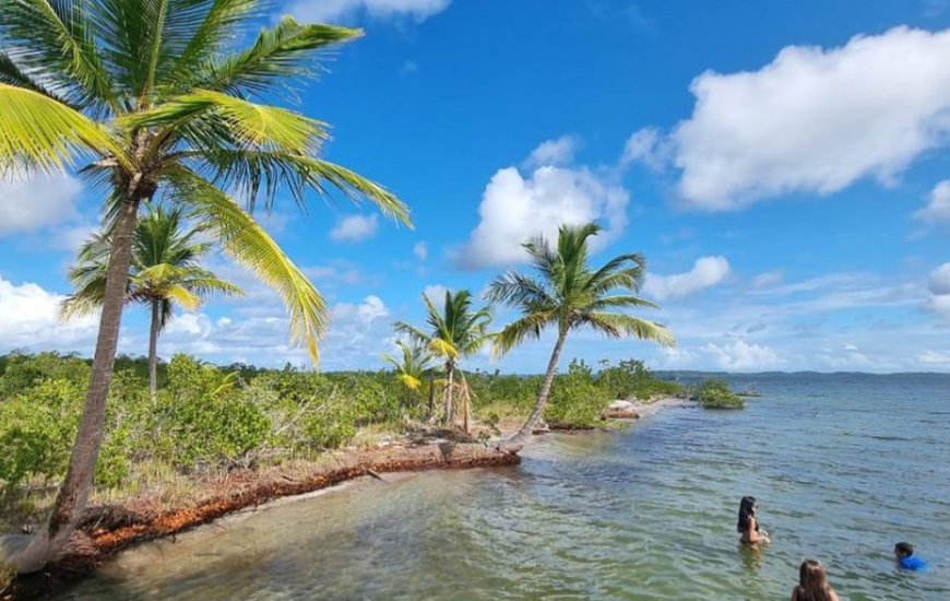 Guia de Maraú - Rota Barra