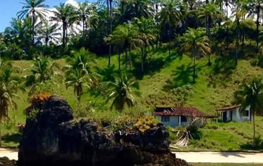 Guia de Maraú - Thailana Turismo