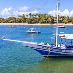 Ponta da Baleia